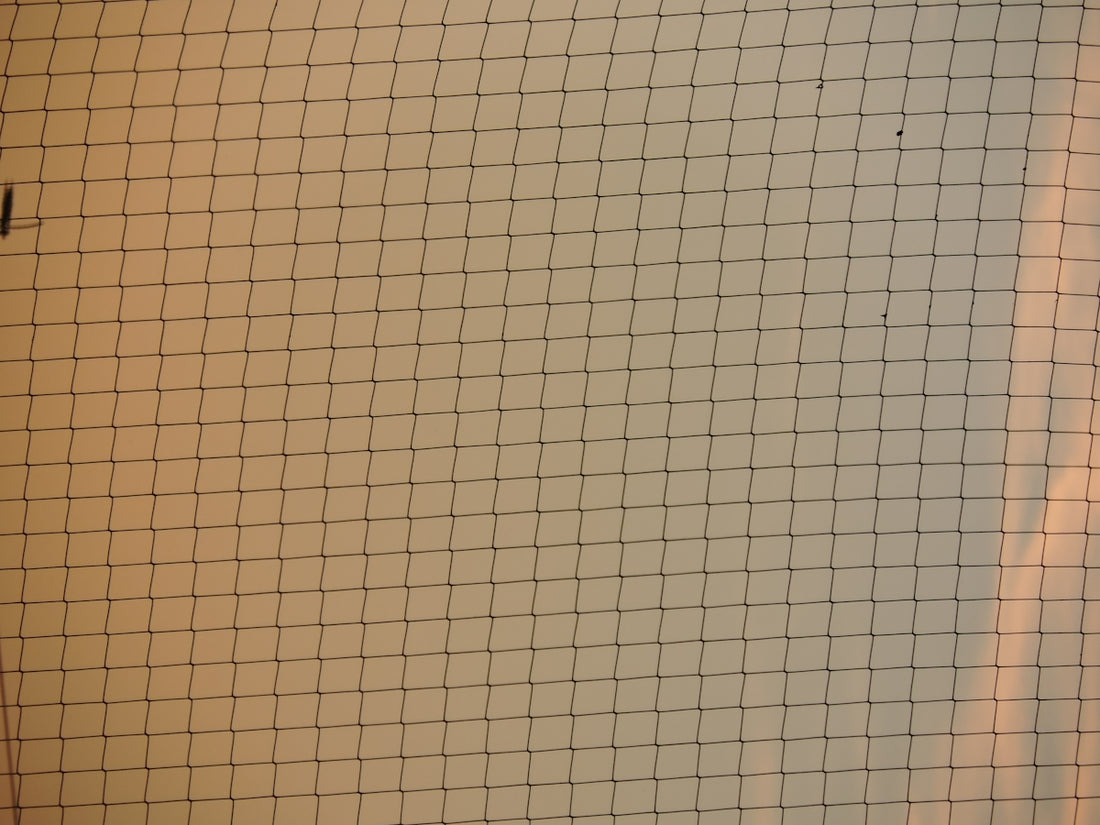 a white toilet sitting next to a white wall